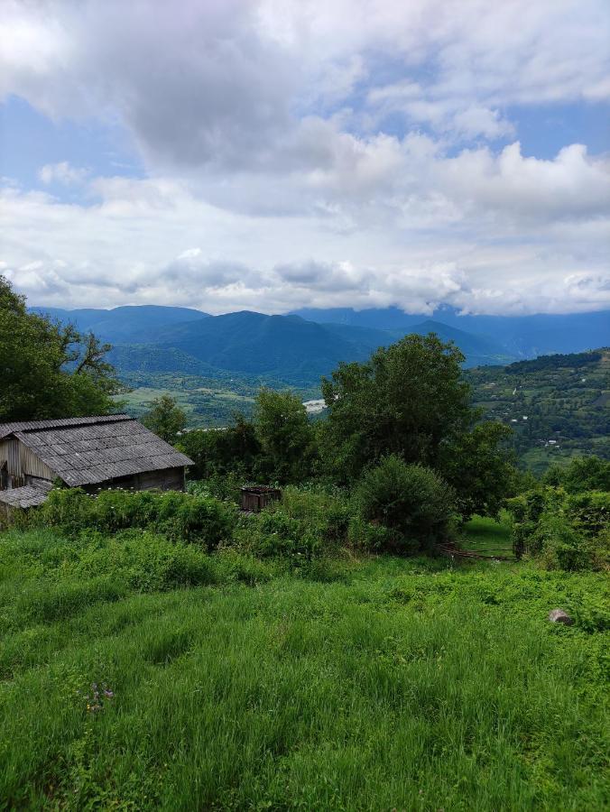 Racha Chogovadze'S Guest House Ambrolauri Esterno foto
