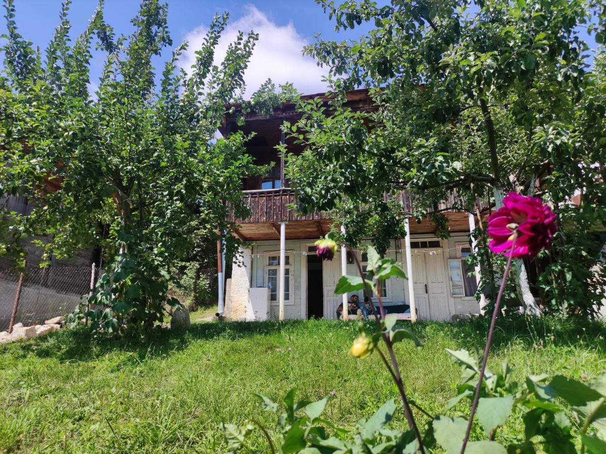 Racha Chogovadze'S Guest House Ambrolauri Esterno foto
